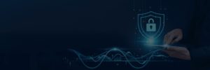 Privacy Policy | Homeland Solves IT